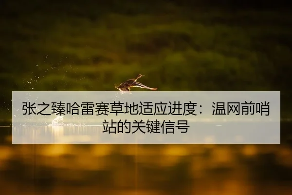 张之臻哈雷赛草地适应进度：温网前哨站的关键信号
